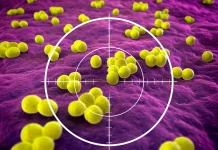 MIT Researchers Use AI to Design New Class of Antibiotic Candidates in the Fight Against Superbugs MIT Researchers Use AI to Design New Class of Antibiotic Candidates in the Fight Against Superbugs