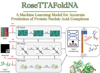 Decoding the Dance of Proteins and Nucleic Acids: Machine Learning Empowers Protein-Nucleic Acid Complexes Prediction with RoseTTAFoldNA Decoding the Dance of Proteins and Nucleic Acids: Machine Learning Empowers Protein-Nucleic Acid Complexes Prediction with RoseTTAFoldNA