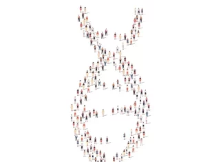 UK Biobank Releases Unprecedented Genomic Data Trove to Transform Global Health UK Biobank Releases Unprecedented Genomic Data Trove to Transform Global Health