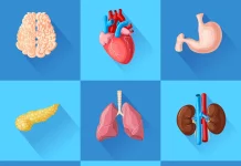 Stanford Medicine Scientists Inch Closer to Predicting Which of Our Organs Will Fail First Stanford Medicine Scientists Inch Closer to Predict which of Our Organ will Fail First
