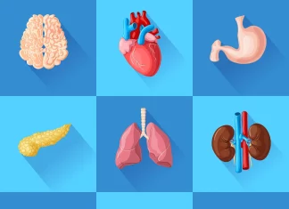 Stanford Medicine Scientists Inch Closer to Predicting Which of Our Organs Will Fail First Stanford Medicine Scientists Inch Closer to Predict which of Our Organ will Fail First