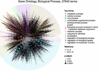 Analyzing Bio-Ontologies Made Easy: A Deep Dive into simona R Package for Semantic Similarity Analyzing Bio-Ontologies Made Easy: A Deep Dive into simona R Package for Semantic Similarity