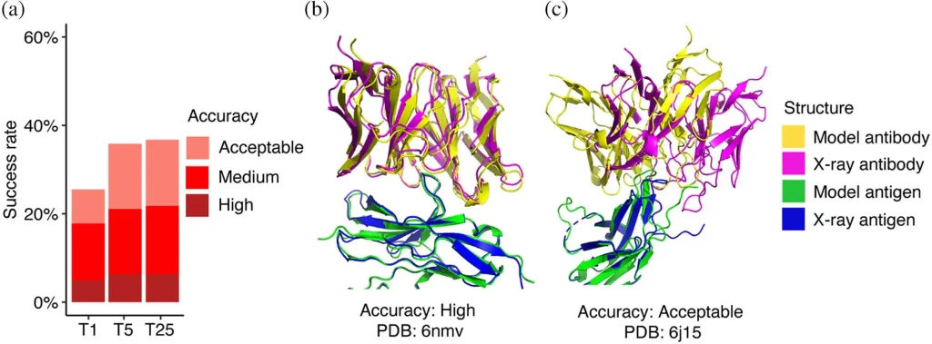 AlphaFold's Latest Strides: Improved Accuracy for Antigen-Antibody Complex Modeling