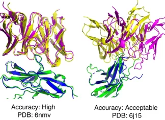AlphaFold’s Latest Strides: Improved Accuracy for Antibody-Antigen Complex Modeling AlphaFold's Latest Strides: Improved Accuracy for Antigen-Antibody Complex Modeling