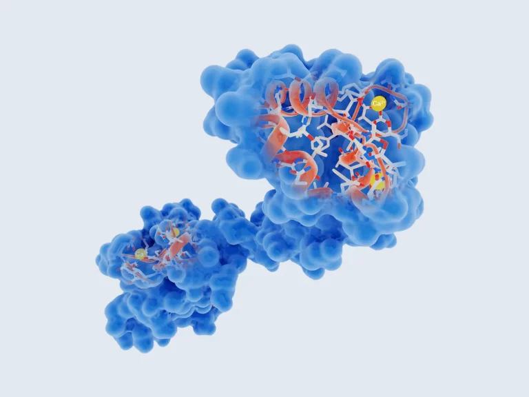 Scripps Scientists Develop High-Resolution Method to Uncover Druggable Sites on Proteins