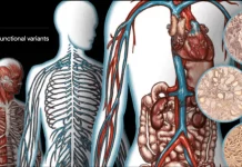 Cracking the Code of Complex Diseases: Utilizing FORGEdb to Identify Functional Variants and Decipher Disease Mechanisms Cracking the Code of Complex Diseases: Utilizing FORGEdb to Identify Functional Variants and Decipher Disease Mechanisms