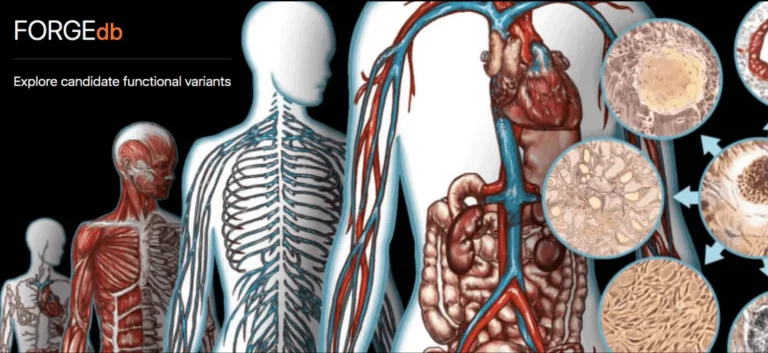 Cracking the Code of Complex Diseases: Utilizing FORGEdb to Identify Functional Variants and Decipher Disease Mechanisms