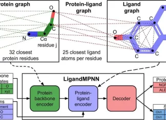 Meet LigandMPNN: A Deep Learning Model Redefining Protein Design with Precision for Small Molecules, Nucleotides, and Metals Meet LigandMPNN: A Deep Learning Model Redefining Protein Design with Precision for Small Molecules, Nucleotides, and Metals