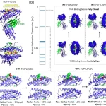 AI reveals hidden immunogenicity determinants in MHC-peptide complexes