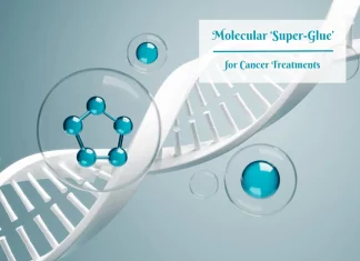 The Glue that Heals: St. Jude’s Researchers Unveil Molecular ‘Super-Glue’ Propelling Innovative Cancer Drug Development Glue that Heals: St. Jude's Researchers Unveil Molecular Super Glue Propelling Innovative Cancer Drug Development