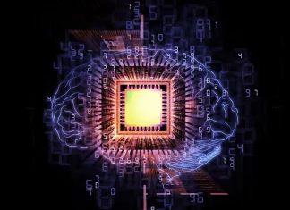 New Principles Underlying Neural Activity Discovered With Startling Implications For Machine Learning New Principles Underlying Neural Activity Discovered With Starting Implications For Machine Learning