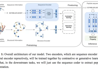 PepHarmony: An Integrated Sequence and Structure-based Peptide Encoding Framework Employing Multi-view Contrastive Learning Meet PepHarmony: An Integrated Sequence and Structure-based Peptide Encoding Framework Employing Multi-view Contrastive Learning