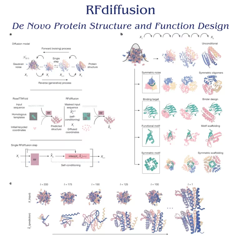 Unveiling the Future of Protein Design: RFdiffusion's De Novo Revolution