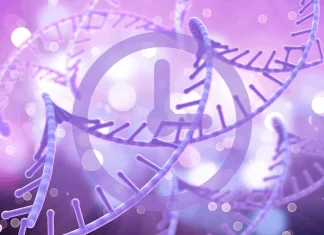 MIT’s Noninvasive Technique “Raman2RNA” Reveals Cells’ Gene Expression Dynamics Over Time MIT's Noninvasive Technique "Raman2RNA" Reveals Cells' Gene Expression Dynamics Over Time