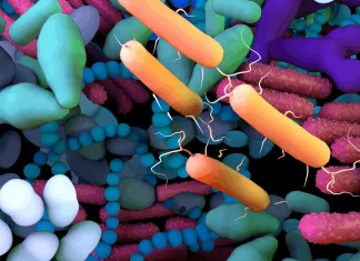 Mount Sinai Researchers Introduce mEnrich-seq: A New Approach to Enriching Taxa of Interest in Microbiomes mEnrich-seq: A New Approach to Enriching Taxa of Interest in Microbiomes