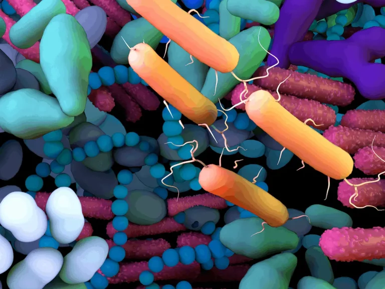 mEnrich-seq: A New Approach to Enriching Taxa of Interest in Microbiomes