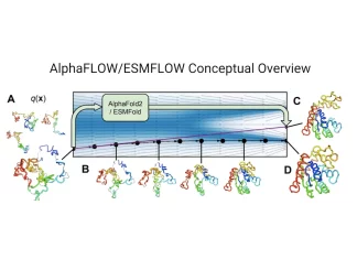 AlphaFLOW and ESMFLOW: A New Approach to Modeling Protein Ensembles with Combined Power of AlphaFold and Flow Matching AlphaFLOW and ESMFLOW: A New Approach to Modeling Protein Ensembles with Combined Power of AlphaFold and Flow Matching