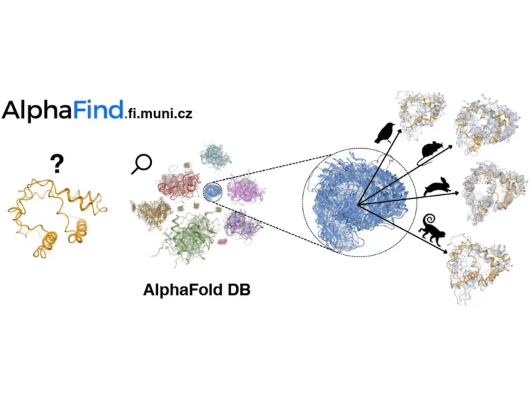 AlphaFind: A New Frontier in Proteomic Exploration