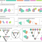 CombFold: Advancing Protein Complex Assembly Structure Prediction Harnessing Combinatorial Assembly Algorithm and AlphaFold2
