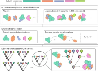 CombFold: Advancing Structure Prediction of Large Protein Assemblies with Combinatorial Algorithms and AlphaFold2 CombFold: Advancing Protein Complex Assembly Structure Prediction Harnessing Combinatorial Assembly Algorithm and AlphaFold2
