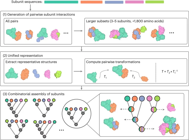 CombFold: Advancing Protein Complex Assembly Structure Prediction Harnessing Combinatorial Assembly Algorithm and AlphaFold2