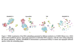 Meet DNABERT-S: Illuminating Genomic Diversity through Species-Aware DNA Embeddings Meet DNABERT-S: Illuminating Genomic Diversity through Species-Aware DNA Embeddings