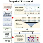Unlock the Potential of DeepMod2: A Deep Learning Framework for Precise DNA Methylation Analysis using Oxford Nanopore Sequencing