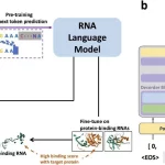 Unlocking the Potential of RNA Design with Generative AI using GenerRNA