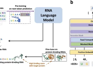 Unlocking the Potential of RNA Design with Generative AI using GenerRNA Unlocking the Potential of RNA Design with Generative AI using GenerRNA