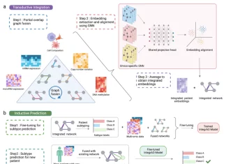 Meet IntegrAO: A Novel Unsupervised Framework for Integrating Incomplete Multi-omics Data and Patient Stratification IntegrAO: A Novel Unsupervised Framework for Integrating Incomplete Multi-Omics Data and Patient Stratification