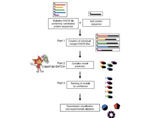 Revolutionizing Protein-protein Interaction Prediction with LazyAF: A Breakthrough Pipeline for Medium-scale In Silico Analysis
