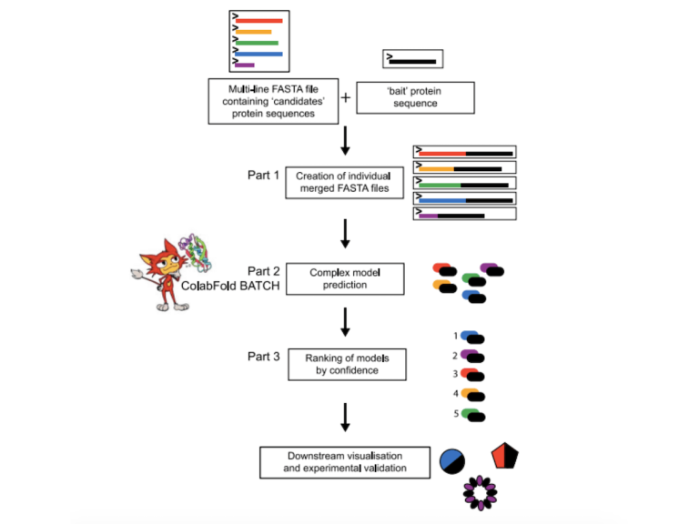 Revolutionizing Protein-protein Interaction Prediction with LazyAF: A Breakthrough Pipeline for Medium-scale In Silico Analysis