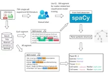 MarkerGeneBERT: Revolutionizing Cell Marker Extraction Utilizing Natural Language Processing MarkerGeneBERT: Revolutionizing Cell Marker Extraction Utilizing Natural Language Processing
