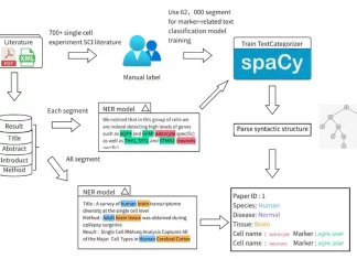 MarkerGeneBERT: Revolutionizing Cell Marker Extraction Utilizing Natural Language Processing MarkerGeneBERT: Revolutionizing Cell Marker Extraction Utilizing Natural Language Processing