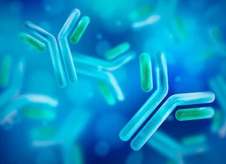 Unleashing nanoBERT: Revolutionizing Nanobody Therapeutics with Deep Learning Unleashing nanoBERT: Revolutionizing Nanobody Therapeutics with Deep Learning