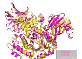OpenFold Unveils SoloSeq and OpenFold-Multimer: Advancing AI in Protein Structure Analysis OpenFold Unveils SoloSeq and OpenFold-Multimer: Advancing AI in Protein Structure Analysis
