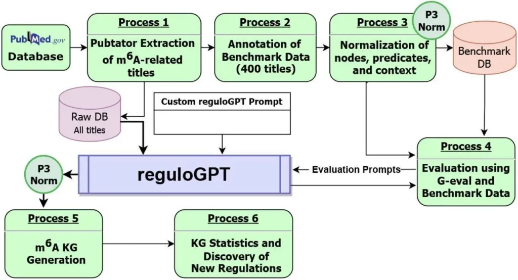 reguloGPT Unleashed: GPT-Powered Knowledge Graphs Illuminate Molecular Regulatory Pathways