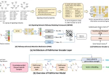 A Novel GNN Model ‘PathFormer’ Revolutionizes Highly Accurate Disease Diagnosis and Reproducible Biomarker Identification A Novel GNN Model 'PathFormer' Revolutionizes Highly Accurate Disease Diagnosis and Reproducible Biomarker Identification