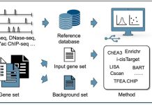 Choosing the Best Tool for Identifying Transcriptional Regulators: Navigating the NGS Landscape Choosing the Best Tool for Identifying Transcriptional Regulators: Navigating the NGS Landscape