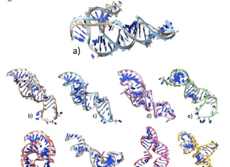Unveiling the Power of Deep Learning: A Comprehensive Benchmark of Tertiary RNA Structure Prediction Methods Unveiling the Power of Deep-Learning: A Comprehensive Benchmark of Tertiary RNA Structure Prediction Methods