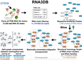 Revolutionize RNA Structure Prediction with RNA3DB: The Pinnacle Dataset for Training Deep Learning Models Revolutionize RNA Structure Prediction with RNA3DB: The Pinnacle Dataset for Training Deep Learning Models