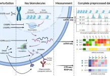Unlocking Cellular Mysteries with scPerturb: A Deep Dive into Harmonized Single-cell Perturbation Data Perturbation-response profiling for single cells.