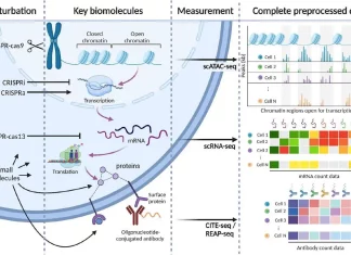 Unlocking Cellular Mysteries with scPerturb: A Deep Dive into Harmonized Single-cell Perturbation Data Perturbation-response profiling for single cells.