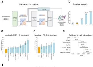 tFold Unveiled: A Swift and Accurate Approach to Antibody-Antigen Complex Modeling and Design tFold Unveiled: A Swift and Accurate Approach to Antibody-Antigen Complex Modeling and Design
