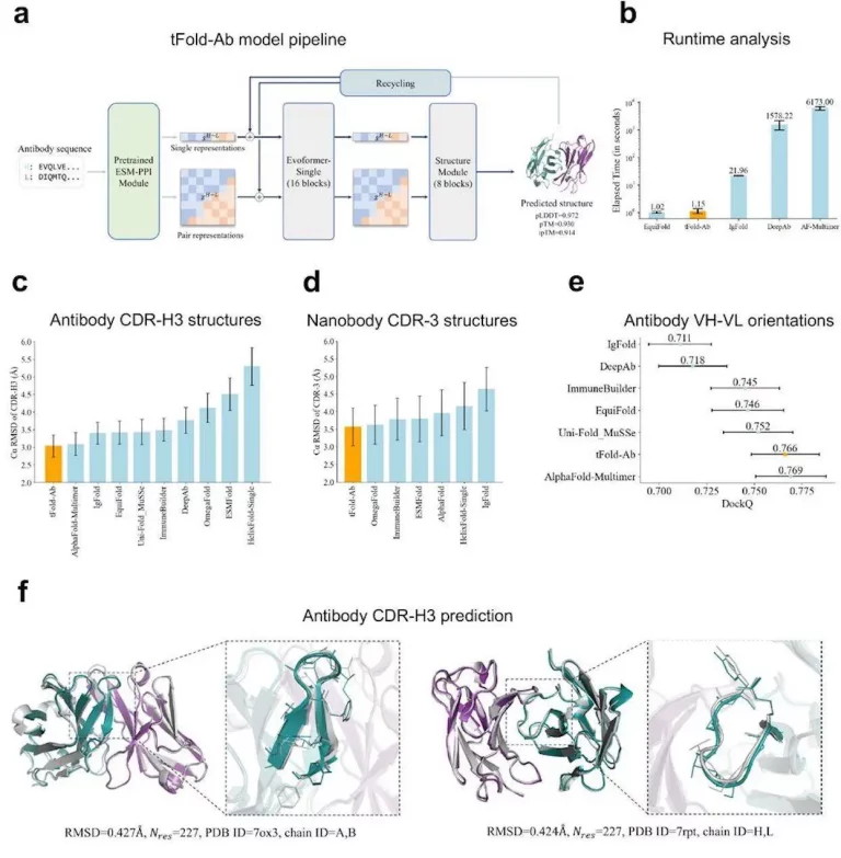 tFold Unveiled: A Swift and Accurate Approach to Antibody-Antigen Complex Modeling and Design