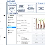BioModME: A User-Friendly Web Application for Building and Analyzing Biological Models