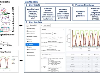 BioModME: A User-friendly Web Application for Building and Analyzing Biological Models BioModME: A User-Friendly Web Application for Building and Analyzing Biological Models