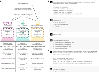 Revolutionizing Cell Type Annotation: GPT-4’s Breakthrough in scRNA-seq Analysis Revolutionizing Cell Type Annotation with GPTCelltype: GPT-4's Breakthrough in scRNA-seq Analysis