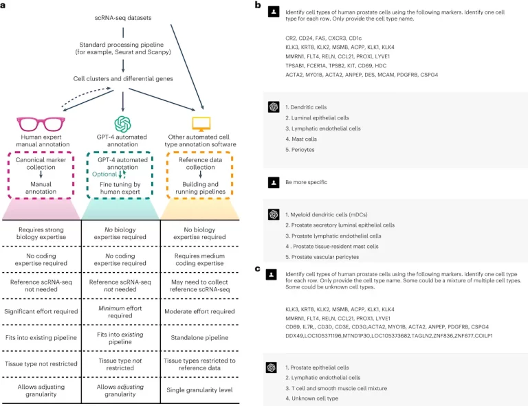 Revolutionizing Cell Type Annotation with GPTCelltype: GPT-4's Breakthrough in scRNA-seq Analysis