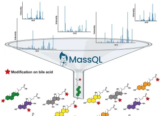 Thousands of New Bile Acids Identified: A Major Discovery in Gut Microbiome Research Thousands of New Bile Acids Identified: A Major Discovery in Gut Microbiome Research